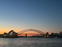 -麦考利夫人座椅