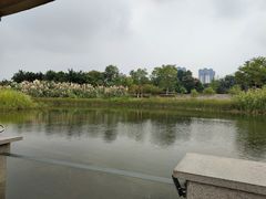 -眉山湿地公园(东坡区)