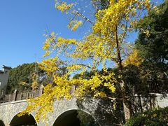 -深业半汤御泉庄温泉
