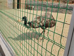 -清风小镇闯关东影视基地