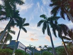 -柏悦酒店-沁园牛排海鲜西餐厅