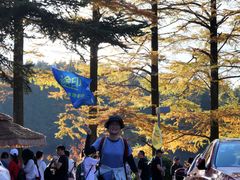 -四明山国家森林公园