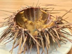 -海胆小馆(东北水饺·春柳店)