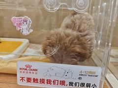 -DQ·蛋糕·冰淇淋(万象城店)