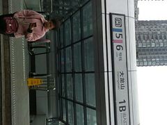 -大龙山(地铁站)