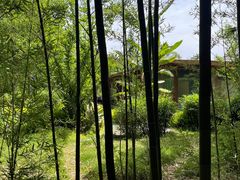 -眉山湿地公园(东坡区)