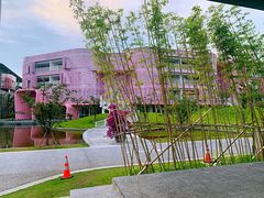 -杭州观成实验学校