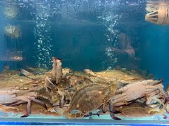 食材-赶海部落海鲜城(海阳路店)