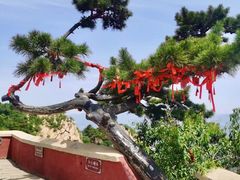 -天津盘山风景名胜区