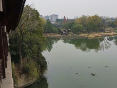 -长广溪湿地公园
