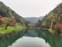 -桃花岭景区