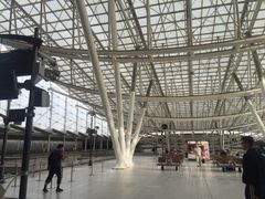 -戴高乐机场火车站