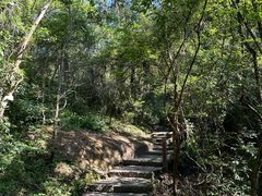 -武夷山风景名胜区-虎啸岩