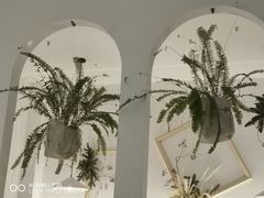 -春树下·树屋花房西餐厅(罍街AS1980店)