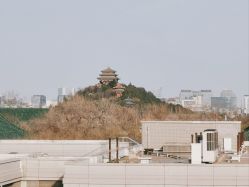 -北京大学第一医院妇产儿童医院