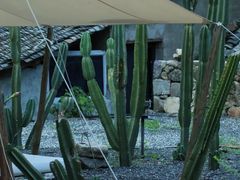 -MOJ coffee(瓯海泽雅水碓坑店)