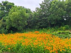 -镇江润扬大桥酒店