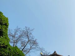 -广州中山纪念堂