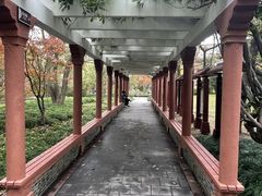 -亭林公园