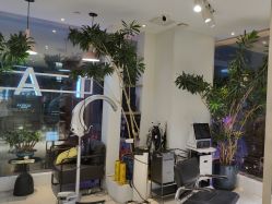 -悦SALON