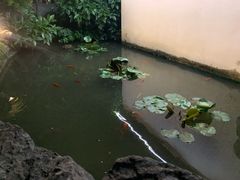 -凤凰御元艺术基地