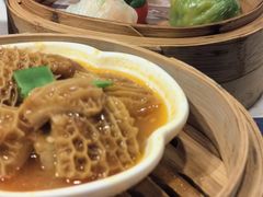 -点都德·毕德寮