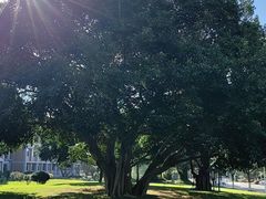 -厦门国家会计学院