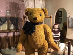 -济州岛泰迪熊博物馆