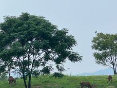 -良渚古城遗址公园
