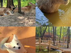 -南戴河国际娱乐中心