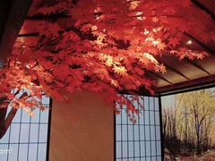 -新盈光·云会所(百丈东路店)