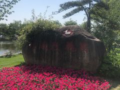 -鹅湖玫瑰文化园