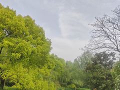 -上海滨江森林公园
