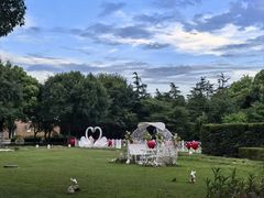 -东方绿舟酒店-停车场