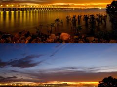 -宝安西湾红树林湿地公园