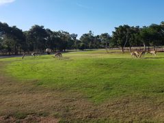 -威勒比开放式动物园