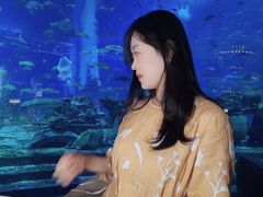 -亚特兰蒂斯•OSSIANO奥西亚诺海底餐厅