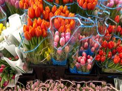 -循礼门鲜花花市(武汉循礼门店)