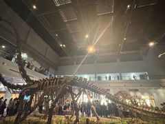 -自贡恐龙博物馆