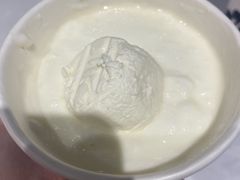 -西琳姑娘·新疆冰淇淋酸奶茶(南开大悦城店)