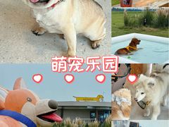 -omitofee咖啡(水泽店)