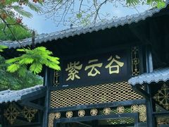 -紫云谷景区