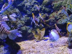 -郑州海洋馆