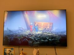 -浣熊部落ps4 ps5 switch 电玩(茶店子店)