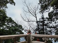 -青城山