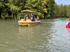 -上海海湾国家森林公园