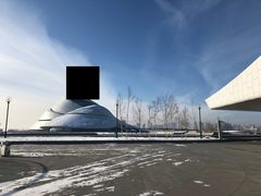 -哈尔滨大剧院