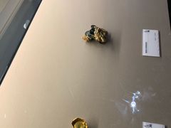 -贝林大翅鲸简餐厅(国家海洋博物馆店)