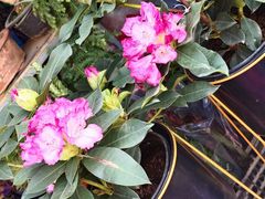 -恒达综合农贸市场(黄山路店)