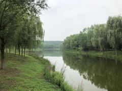 -东郊湿地公园